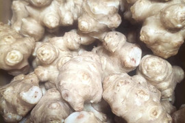 菊芋 10kg【軽洗浄済】ほっこり　サイズMIX　自然栽培　高知県産　サラダや煮物にどうぞ