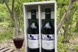 我が家の果実で作ったブルーベリーワイン720ml✖️2本