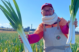 ◎ストック野菜に）大袋入り☆極太の土ねぎ（30本〜8㎏ごえ）ニッシー価格で(≧∀≦)