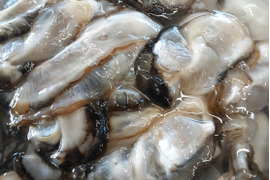 湖白牡蠣　１年剥き身400g×2