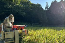 新米！2025年奈良県山添の『あきたこまち』玄米 10㎏