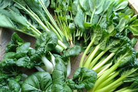 川辺農園 アジア野菜おまかせセット（4～6種類）中国野菜