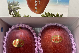 沖縄県産マンゴー0.8〜1Kg
