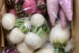 ”ノウフク“　カラフル野菜セット　６～８種 　【栽培期間中　農薬化学肥料不使用】