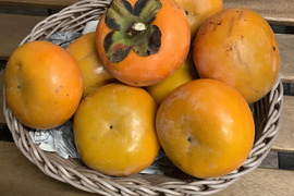 【訳あり特価　柿1㎏】知多半島産　栽培期間中農薬不使用