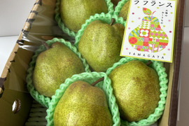 【11月発送】山形特選ラフランス【2キロ3L6玉】