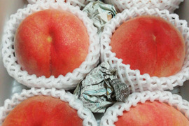 食品 HaloA様 甘美な香りが最高❤️ 浅間白桃 EM栽培 ドリップ農法 3kg箱