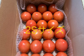 昔ながらのトマト🍅８０サイズ箱詰め(2S玉)