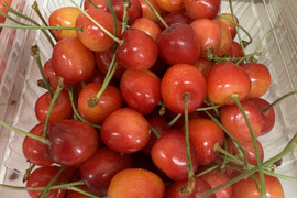 さくらんぼ 訳ありの通販｜食べチョク｜産地直送(産直)お