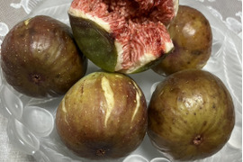 【訳あり・ご自宅用】福島県須賀川産 完熟生いちじく 1kg（不揃い・キズあり）