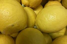 皮ごと食べれる朝採れイエローレモン2kg