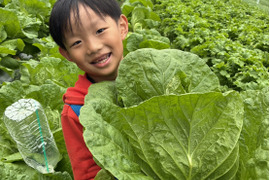 もう少し多めに食べたい方へ　２５００円お勧め旬野菜セット
田口農園徳島「イチオシ旬野菜セット」
農家人が選ぶ旬野菜のおまかせセットです。季節ごとの旬の世界農業遺産ブランド野菜を厳選してお届け致します。