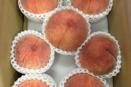 桃『訳あり品』『ご家庭用』品種おまかせ　3kg