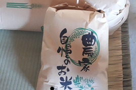 農家直送◆湧き水育ちのお米 兵庫県産キヌヒカリ 20kg 専用出品☆令和三年度産 山の湧き水育ち 農家直送 兵庫県