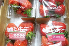 最高糖度19度！！　兵庫県産　高糖度イチゴ　　1パック約300g×4　　多品種あります。
