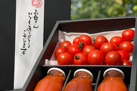【母の日ギフト】高糖度ミニトマトと無添加トマトジュースのギフトセット