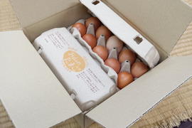 一滴でも美味しい！お山のたまご10個入り×4パック