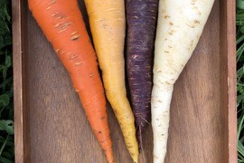 【北海道・芽室】ホワイトニンジン🥕無選別【農薬化学肥料不使用】(8kg)