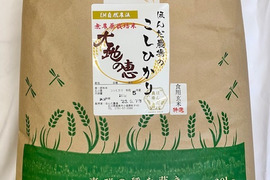 令和5年産 特別栽培米 農薬不使用 化学肥料不使用 除草剤不使用 コシヒカリ 白米 20kg