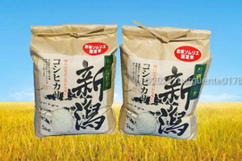 🎯新米予約✨️味に自信あり玄米🌅令和6年🌾5kg×2🍚10kg🌾お米ソムリエが作る🌾新潟県五泉市四ヶ村産🌾特栽米コシヒカリ🍚🙋なんと😲❇️4900円❇️