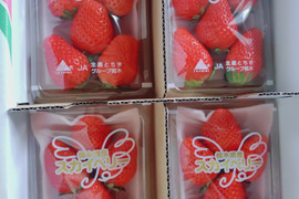 【限定SALE!!すぐ発送】
食べやすいサイズのスカイベリー