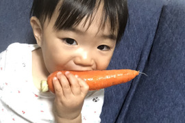ベビーキャロット2kg★まるで柿みたいに甘ーい！ミニ人参★岡山県・蒜山高原産