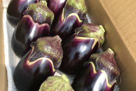 日本一のブランド茄子🍆
『りんごあめ🍎』
十全（新潟特産）と絹皮（大阪特産）の水茄子食べ比べセット　茄子漬けキッド