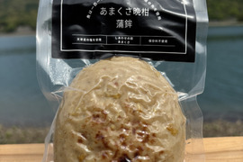魚のハンバーグ！あまくさ晩柑（河内晩柑）蒲鉾5個
