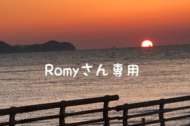 Romyさん専用