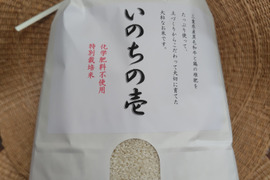 令和6年新米！三重県産特別栽培米いのちのいち（精米9ｋｇ）※簡易包装