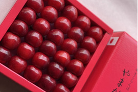 【予約2024年6月下旬〜】やまがた紅王🍒さくらんぼ新品種！特秀化粧箱300g