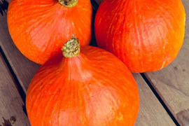 【3玉　約5ｋｇ】八ヶ岳西麓産　農薬化学肥料不使用　『打木赤皮甘栗かぼちゃ』