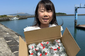 孫も大好き！『五島列島産』生あおさ！
小分け用　400g