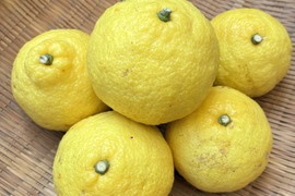 スッキリ甘い！はるか【ご家庭用4kg・約20個】