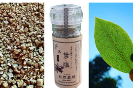 ブルーベリー葉のハーブソルト•70g（ミル瓶）【爽やかな香り•普段のお料理に】※まとめ買い対応
