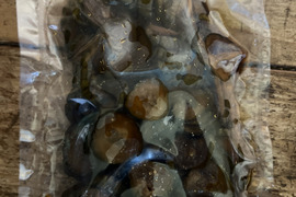 きゅうりの醤油漬け（みょうが入り）　群馬県東吾妻町産きゅうり　200g×3パック