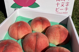 桃 家庭用の通販｜食べチョク｜産地直送(産直)お取り寄せ通販 - 農家