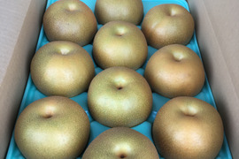 【贈答用】大玉  幸水 5kg 9〜10玉入り