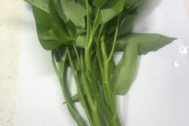 有機JAS　空心菜（エンサイ）300g