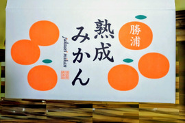 蔵出し貯蔵晩生みかん(3Lより大きいサイズ8kg・約40個)