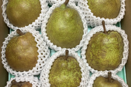 【訳ありラフランス】3kgご家庭用(８～１０個)