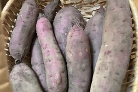 【値下げ】ねっとり紅はるか【栽培期間中農薬不使用・自然栽培】大小ミックス（3㎏）