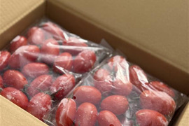 皮むき不要！すぐ使える冷凍ミニトマト（福島県おおくま産）