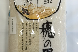 令和5年産 石川県産 厳選コシヒカリ 白米 5kg