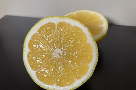 白い皮が美味しい日向夏(たねなし)