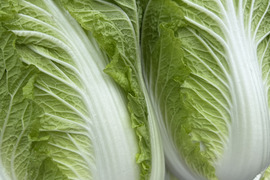 【新商品‼️白菜2玉入り‼️】白菜を箱いっぱいにしてお届け。