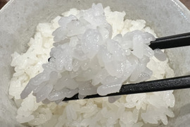 プチプチ健康米　5kg（従来のｺｼﾋｶﾘ ﾐﾙｷｰｸｲｰﾝをブレンド）夢のようなプチプチ