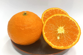 【受付終了】ジューシー！カラマンダリン5㎏（みかん）【三重県御浜町産】