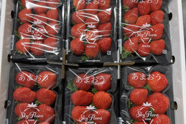 🍓イチゴ🍓家庭用🍓福岡県産🍓  空中で真っ赤に実る🍓
【あまおういちご 1080g】 180g×6pc