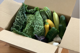 【野菜ボックス】6～8品目のセット販売